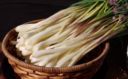 沖縄県八重瀬町産 島らっきょう約1kg【早期出荷分】 - 国産 生らっきょう 甘酢漬け 漬物 天ぷら チャンプルー 有機栽培 おすすめ 送料無料
