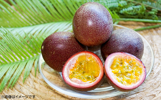 【化粧箱入】【先行受付・2026年発送】わらやーファーム パッションフルーツ 約1kg - 贈答用 プレゼント 贈り物 ギフト 南国フルーツ 国産 先行予約 おすすめ 沖縄県 八重瀬町