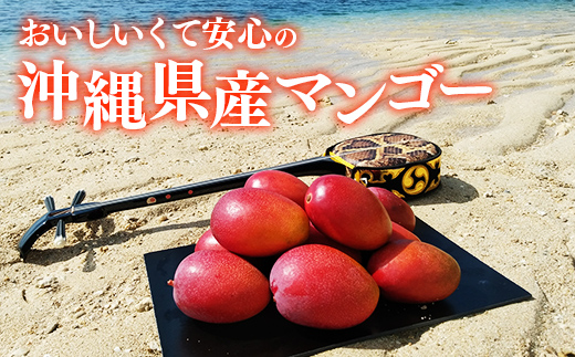 【化粧箱入】【先行受付・2026年発送】伊集農園 沖縄県産マンゴー（贈答用）約1kg - 先行予約 沖縄 産地直送 南国フルーツ 旬の味覚 旬のフルーツ 沖縄県 八重瀬町