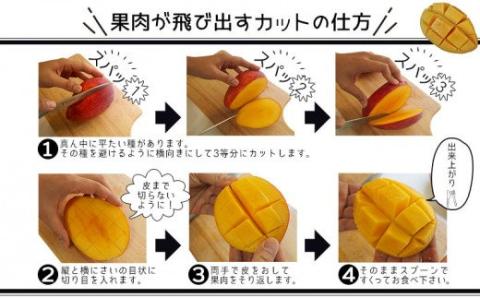 【先行受付】【2026年発送】生産組合が育てるアップルマンゴー約2kg（家庭用）- 先行予約 沖縄県産 産地直送 南国フルーツ 旬の味覚 季節の果物 ご自宅用 沖縄マンゴー 沖縄県 八重瀬町