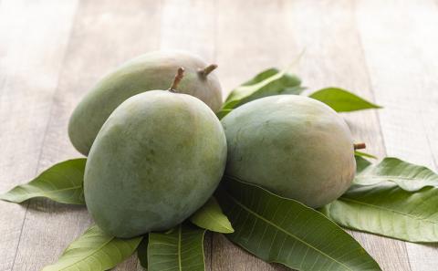 【先行受付】【2026年発送】神谷ファームのキーツマンゴー 約2.5kg - 先行予約 沖縄県産 産地直送 南国フルーツ 旬の味覚 季節の果物 希少種 贈り物 ギフト 沖縄県 八重瀬町