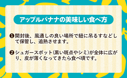 熱帯果樹生産組合のアップルバナナ 約3kg - バナナ ばなな 小ぶり 沖縄県 産地直送 果物 フルーツ 南国 朝食 おすすめ 沖縄県 八重瀬町