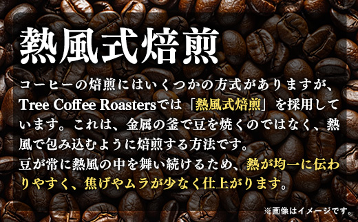 【完全受注焙煎】Tree Coffee Roasters「チャイナ ウンナン プーアル ピーチ ハイロースト」 200g - コーヒー 豆 こだわり 自家焙煎 コーヒー豆 熱風式焙煎 本格 贈り物 おすすめ 人気 沖縄県 八重瀬町