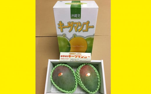 【先行受付】【2025年発送】渡口ファームのこだわりキーツマンゴー約1.5kg - 先行予約 沖縄県産 産地直送 南国フルーツ 旬の味覚 季節の果物 希少種 贈り物 ギフト 沖縄県 八重瀬町