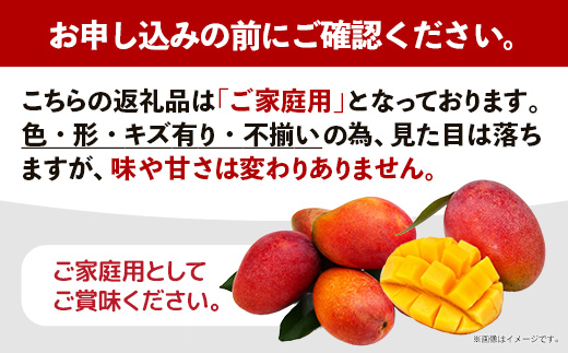 【先行受付】【2026年発送】光マンゴー園の家庭用アップルマンゴー約2kg（4～6玉）白箱 - ご自宅用 先行予約 沖縄県産 産地直送 南国フルーツ 旬の味覚 オススメ 沖縄県 八重瀬町