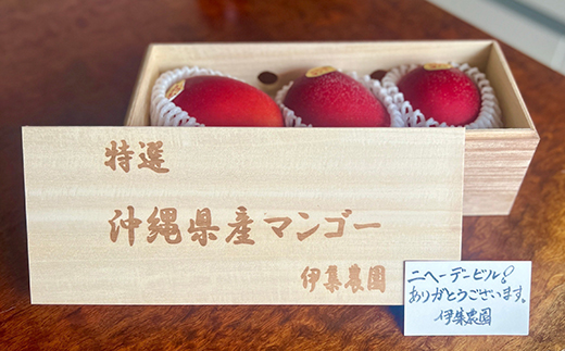 【木箱入】【先行受付・2026年発送】伊集農園 沖縄県産マンゴー（贈答用木箱）約1kg - 先行予約 沖縄 産地直送 南国フルーツ 旬の味覚 旬のフルーツ 贈り物 ギフト 沖縄県 八重瀬町
