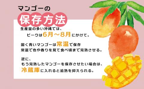 【先行受付】【2026年発送】渡口ファームの家庭用マンゴー約2kg - 先行予約 沖縄県産 産地直送 南国フルーツ 旬の味覚 季節の果物 ご自宅用 沖縄マンゴー 沖縄県 八重瀬町