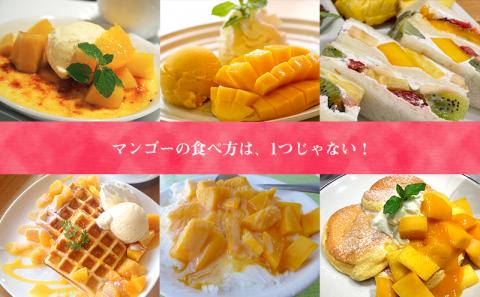 【化粧箱入】【先行受付・2026年発送】ヤマト農園 アップルマンゴー約1kg（良品）- 先行予約 沖縄県産 産地直送 南国フルーツ 旬の味覚 季節の果物 贈り物 ギフト 沖縄県 八重瀬町