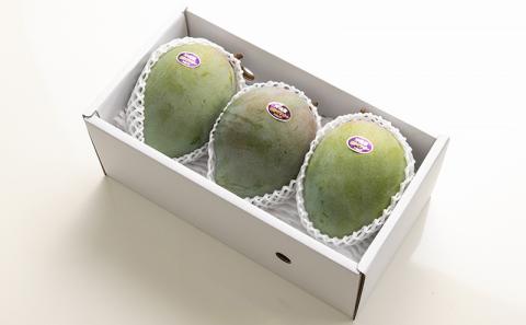 【先行受付】【2026年発送】神谷ファームのキーツマンゴー 約1.5kg - 先行予約 沖縄県産 産地直送 南国フルーツ 旬の味覚 季節の果物 希少種 贈り物 ギフト 沖縄県 八重瀬町