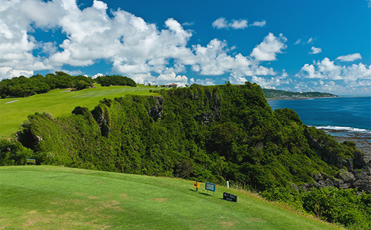 【ザ・サザンリンクスリゾート】 ゴルフ利用クーポン50.000円分 - 旅行 沖縄旅行 リゾートゴルフ 利用券 ゴルフ場利用券 リゾート クーポン券 沖縄県 八重瀬町 利用クーポン 50,000円分
