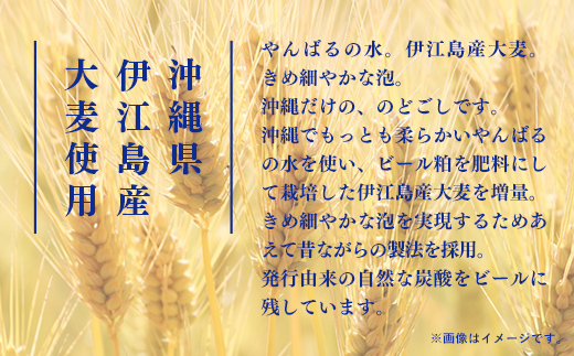 【オリオンビール】オリオン ザ・ドラフト＜350ml×24缶＞-ビール オリオン ビール 1ケース 350ml 24本 すっきり 飲みやすい こだわり 改良 リニューアル おすすめ 沖縄県 八重瀬町【価格改定YF】