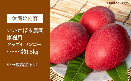 【先行受付】【2026年発送】いいたばる農園の家庭用アップルマンゴー約2kg - ご家庭用 先行予約 沖縄県産 産地直送 農薬不使用 除草剤不使用 南国フルーツ 旬の味覚 マンゴー オススメ 沖縄県 八重瀬町