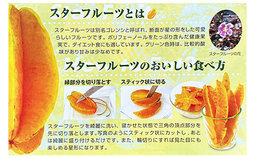 沖縄県産 スターフルーツ約2kg(6～12玉) - 果物 フルーツ 南国 スターフルーツ 五歛子 厳選 沖縄県 八重瀬町