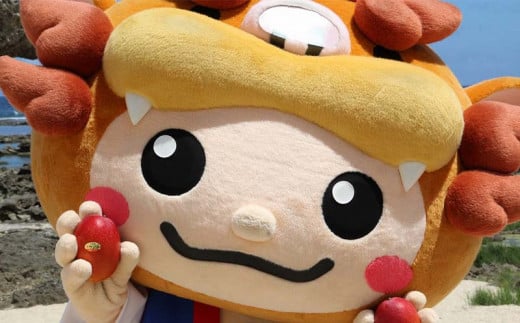 【先行受付】【2026年発送】JAおきなわの産直アップルマンゴー 約2kg【ご家庭用・白箱】- 先行予約 沖縄 産地直送 季節の果物 旬の味覚 ご自宅用 トロピカルフルーツ 沖縄県 八重瀬町