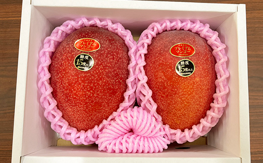 【化粧箱入】【先行受付・2026年発送】JAおきなわプレミアムマンゴー 約800g【大玉2玉】- 先行予約 沖縄 産地直送 季節の果物 旬の味覚 アップルマンゴー 贈り物 プレゼント ギフト 沖縄県 八重瀬町