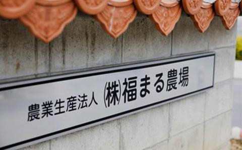 【ブランド豚・キビまる豚】切り落とし　約2.5kg - 豚肉 小分け 500gずつ 部位混合 色々楽しめる 人気 しょうが焼き 肉じゃが 豚丼 豚キムチ 肉巻き アレンジ 色々 人気 ブランド豚 おすすめ 沖縄県 八重瀬町【価格改定】