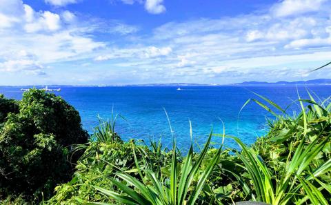 希少栽培種のばなな！ぐしちゃん銀バナナ約3Kg - バナナ 銀バナナ ナムワヌアン 果物 フルーツ 希少 国産 おすすめ 沖縄県 八重瀬町