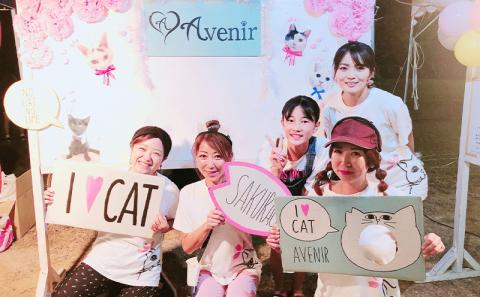 【南の島の動物愛護活動】保護猫活動等をサポート（5万円）- ねこ ネコ 地域猫 保護活動 支援 応援 さくらねこ 動物愛護 保護 里親 寄附のみ 沖縄県 八重瀬町 寄附金額　\50,000