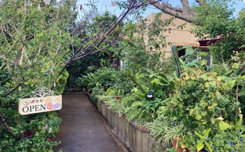 【自家焙煎：豆】珈琲三昧ぽえむの4種のこだわり珈琲  飲み比べセット