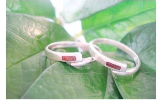 ［グレイン］屋久杉リング －繋（Tsunagu）－ - メンズ レディース 男性 女性 アクセサリー 贈り物 ギフト おしゃれ お揃い 指輪 木製品 一点物 人気 おすすめ 沖縄県 八重瀬町