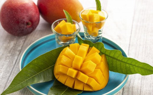 【化粧箱入】【先行受付・2026年発送】神谷ファームのマンゴー（極）約1.5Kg - 先行予約 沖縄県産 産地直送 南国フルーツ 旬の味覚 季節の果物 贈り物 ギフト 沖縄県 八重瀬町