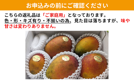 【先行受付】【2026年発送】MKファームの訳ありアップルマンゴー約1kg【訳あり】- 訳アリ 先行予約 家庭用 ご自宅用 沖縄県産 産地直送 南国フルーツ 旬の味覚 アップルマンゴー オススメ 沖縄県 八重瀬町