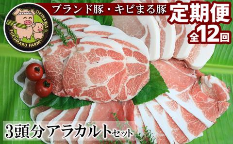 【定期便：12回】　ブランド豚・キビまる豚３頭分アラカルトセット（約146kg）- 豚肉 定期便 12ヶ月 3頭分 ステーキ 焼肉 しゃぶしゃぶ カットオーダー可能 キビまる豚 堪能セット 豚しゃぶ 豚ロース 肩ロース 豚バラ ウデ肉 モモ肉 ヒレ 沖縄 ブランド豚 贅沢 堪能 定期便 沖縄県 八重瀬町