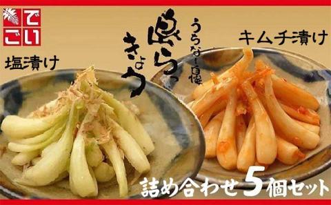島らっきょう塩漬け・キムチ漬け　詰め合わせ５個セット - らっきょう漬け 国産 沖縄県産 らっきょ 島らっきょ 疲労回復 滋養強壮 人気 漬物 沖縄県 八重瀬町