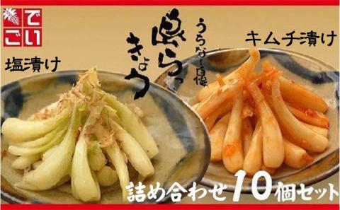 島らっきょう塩漬け・キムチ漬け　詰め合わせ10個セット - らっきょう漬け 国産 沖縄県産 らっきょ 島らっきょ 疲労回復 滋養強壮 人気 漬物 沖縄県 八重瀬町