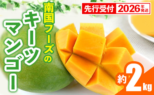 【先行受付】【2026年発送】南国フーズのキーツマンゴー 約2kg - 先行予約 沖縄 産地直送 南国フルーツ 旬の味覚 沖縄県産 国産マンゴー 希少種 オススメ 沖縄県 八重瀬町
