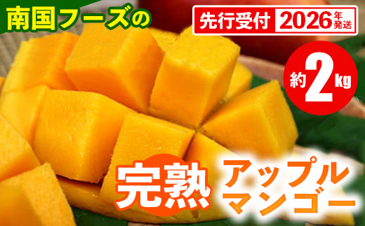 【先行受付】【2026年発送】南国フーズの完熟アップルマンゴー 約2kg - 先行予約 沖縄県産 産地直送 南国フルーツ 旬の味覚 旬のフルーツ 贈り物 ギフト 沖縄県 八重瀬町