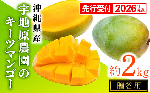 【贈答用】【先行受付・2026年発送】宇地原農園の沖縄県産キーツマンゴー約2kg - 先行予約 沖縄県産 産地直送 南国フルーツ 旬の味覚 季節の果物 希少種 化粧箱 ギフト 贈り物 沖縄県 八重瀬町