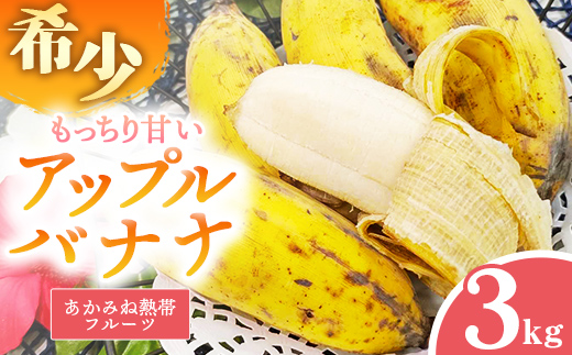 【希少栽培種】あかみね熱帯フルーツのアップルバナナ約3kg - 国産 希少種 フレッシュ 小ぶり 食べやすい おすすめ 沖縄県 八重瀬町