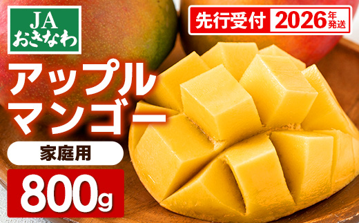 【先行受付】【2026年発送】JAおきなわの産直アップルマンゴー 約800g　2~4玉入り【ご家庭用・白箱】- 先行予約 沖縄 産地直送 南国フルーツ 旬の味覚 家庭用 オススメ 沖縄県 八重瀬町