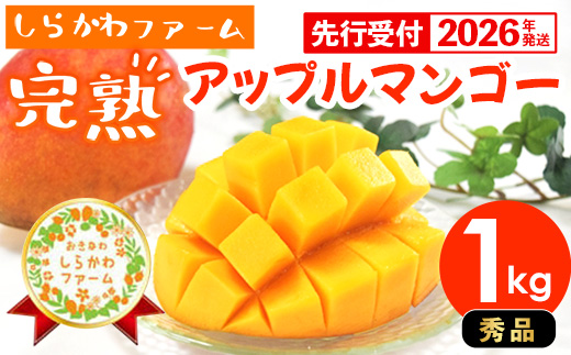【先行受付】【2026年発送】しらかわファームのアップルマンゴー 秀 約1kg - 先行予約 沖縄 産地直送 南国フルーツ 旬の味覚 旬のフルーツ 贈り物 ギフト 沖縄県 八重瀬町
