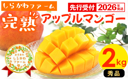 【先行受付】【2026年発送】しらかわファームのアップルマンゴー 秀 約2kg - 先行予約 沖縄 産地直送 南国フルーツ 旬の味覚 旬のフルーツ 贈り物 ギフト 沖縄県 八重瀬町