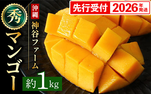 【化粧箱入】【先行受付・2026年発送】神谷ファームのマンゴー（秀）約1Kg - 先行予約 沖縄県産 産地直送 南国フルーツ 旬の味覚 季節の果物 贈り物 ギフト 沖縄県 八重瀬町