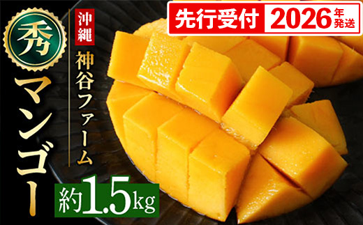 【化粧箱入】【先行受付・2026年発送】神谷ファームのマンゴー（秀）約1.5Kg - 先行予約 沖縄県産 産地直送 南国フルーツ 旬の味覚 季節の果物 贈り物 ギフト 沖縄県 八重瀬町