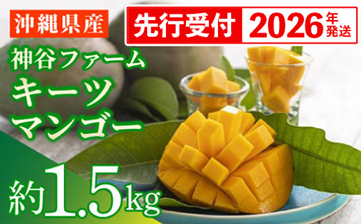 【先行受付】【2026年発送】神谷ファームのキーツマンゴー 約1.5kg - 先行予約 沖縄県産 産地直送 南国フルーツ 旬の味覚 季節の果物 希少種 贈り物 ギフト 沖縄県 八重瀬町