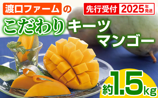 【先行受付】【2025年発送】渡口ファームのこだわりキーツマンゴー約1.5kg - 先行予約 沖縄県産 産地直送 南国フルーツ 旬の味覚 季節の果物 希少種 贈り物 ギフト 沖縄県 八重瀬町