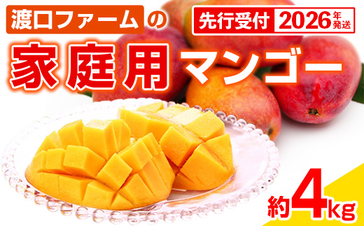【先行受付】【2026年発送】渡口ファームの家庭用マンゴー約4kg - 先行予約 沖縄 産地直送 南国フルーツ 旬の味覚 家庭用 ご自宅用 大容量 4キロ オススメ 沖縄県 八重瀬町