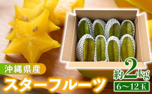 沖縄県産 スターフルーツ約2kg(6～12玉) - 果物 フルーツ 南国 スターフルーツ 五歛子 厳選 沖縄県 八重瀬町