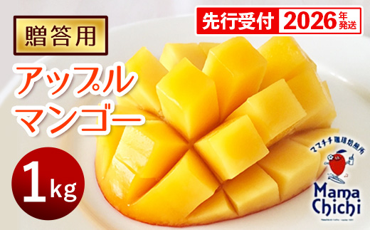 【贈答用】【先行受付・2026発送】ママチチマンゴーファームの贈答用アップルマンゴー約1kg - 先行予約 沖縄県産 産地直送 南国フルーツ 旬の味覚 旬のフルーツ 贈り物 ギフト 沖縄県 八重瀬町