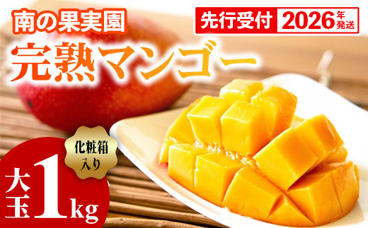 【化粧箱入】【先行受付・2026年発送】南の果実園 完熟マンゴー 大玉 1kg（2玉）〈贈答用化粧箱入り〉- 先行予約 沖縄県産 産地直送 アップルマンゴー 旬の味覚 季節の果物 贈り物 ギフト 沖縄県 八重瀬町