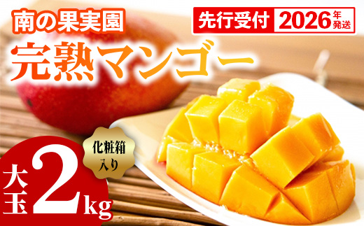 【化粧箱入】【先行受付・2026年発送】南の果実園 完熟マンゴー 大玉 2kg（3〜4玉）〈贈答用化粧箱入り〉- 先行予約 沖縄県産 産地直送 アップルマンゴー 旬の味覚 季節の果物 贈り物 ギフト 沖縄県 八重瀬町