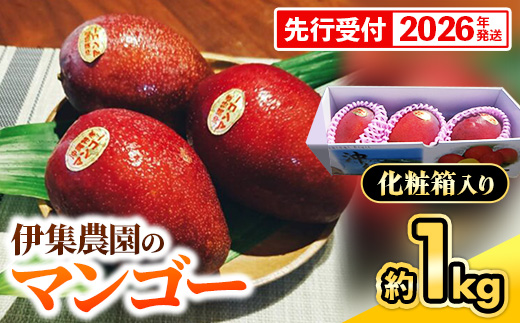 【化粧箱入】【先行受付・2026年発送】伊集農園 沖縄県産マンゴー（贈答用）約1kg - 先行予約 沖縄 産地直送 南国フルーツ 旬の味覚 旬のフルーツ 沖縄県 八重瀬町