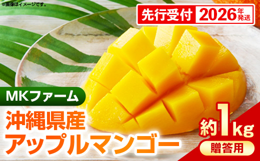 【先行受付】【2026年発送】MKファームの贈答用アップルマンゴー約1kg【贈答用】- 贈答用 ギフト 先行予約 沖縄県産 産地直送 南国フルーツ 旬の味覚 アップルマンゴー オススメ 沖縄県 八重瀬町