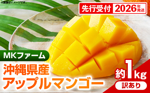 【先行受付】【2026年発送】MKファームの訳ありアップルマンゴー約1kg【訳あり】- 訳アリ 先行予約 家庭用 ご自宅用 沖縄県産 産地直送 南国フルーツ 旬の味覚 アップルマンゴー オススメ 沖縄県 八重瀬町