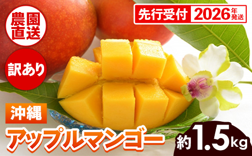 【先行受付】【2026年発送】ヤマト農園 アップルマンゴー訳あり約1.5kg（3～6玉）- 先行予約 沖縄県産 産地直送 南国フルーツ 旬の味覚 季節の果物 ご自宅用 訳アリ 沖縄マンゴー 沖縄県 八重瀬町