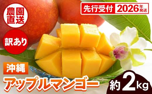 【先行受付】【2026年発送】ヤマト農園 アップルマンゴー訳あり約2kg（4～6玉）- 先行予約 沖縄県産 産地直送 南国フルーツ 旬の味覚 季節の果物 ご自宅用 訳アリ 沖縄マンゴー 沖縄県 八重瀬町